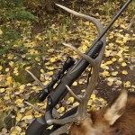 CO Rifle Elk 2011 103