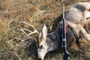This buck fell to a Savage Model 16 in 6.5 Creedmoor using 140-grain Fusion ammunition.
