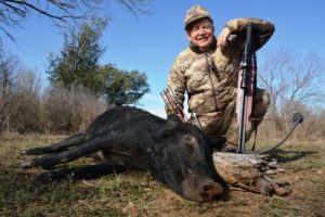 Wild hogs can be included in most Texas hunts. This 150-pounder fell to a 38-yard shot.