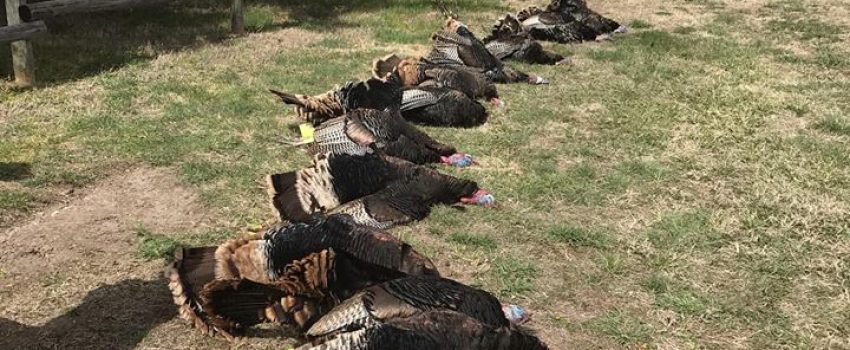 17799964_1267684076650200_1267919387203858026_n