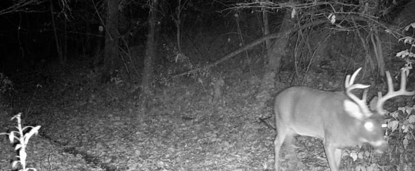 252375277_217635530450823_1084687640440658151_n