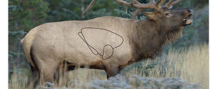 37485-es-23x35-elk[1]