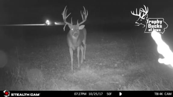 43171547_2121817081175789_657530746801487872_n