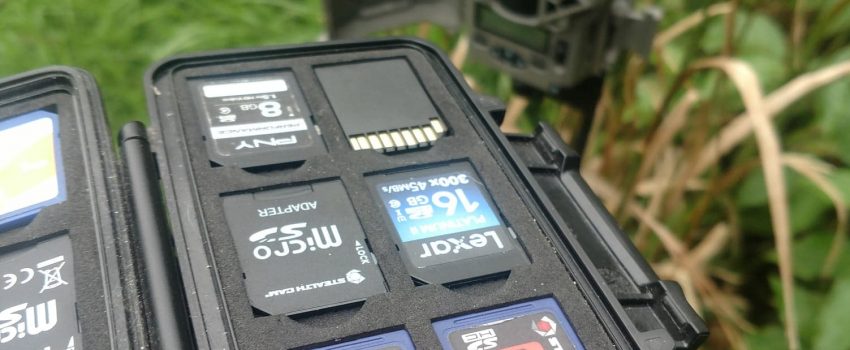 44654968_1689178917859367_1457248881313054720_n