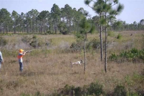 6108_3942668464066_1308297266_n