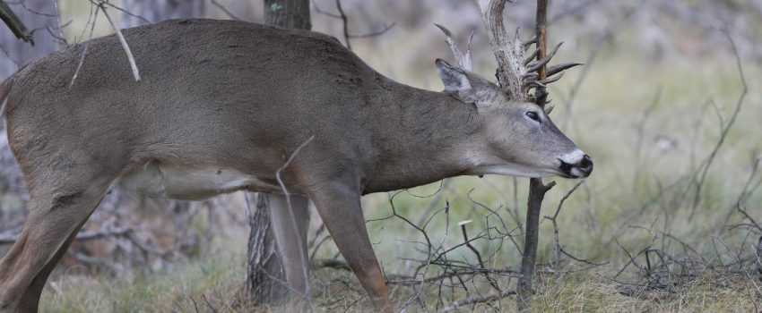 615489_474522545926220_1016592441_o1