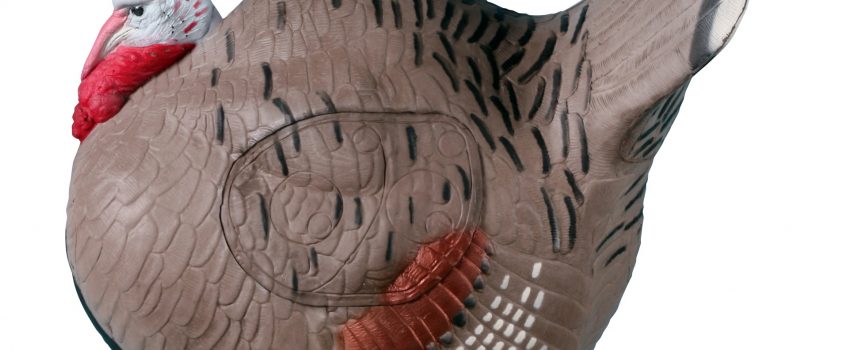 731_1hi_struttingturkey_hr[1]