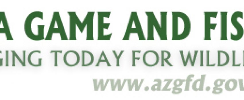 AZGFDLogo