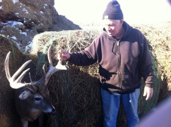 Buck-in-Bales-630x470