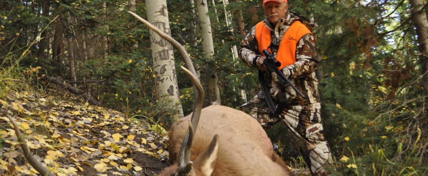 CO Rifle Elk 2011 081