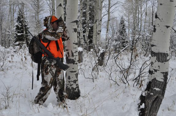 CO Rifle Elk 2011 223