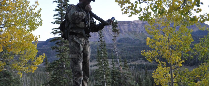 Colorado Elk 2010 498