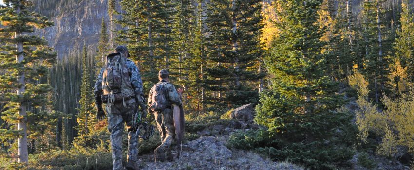 Colorado Elk 2010 545