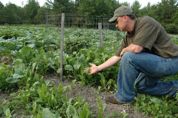 You don't have to wait for spring to begin planting this year's food plot.