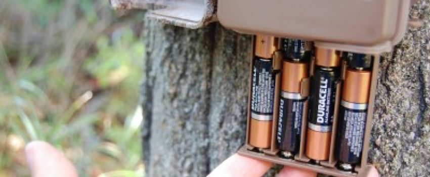 DSC_0028-400x265 Photo by Derrick Sigler