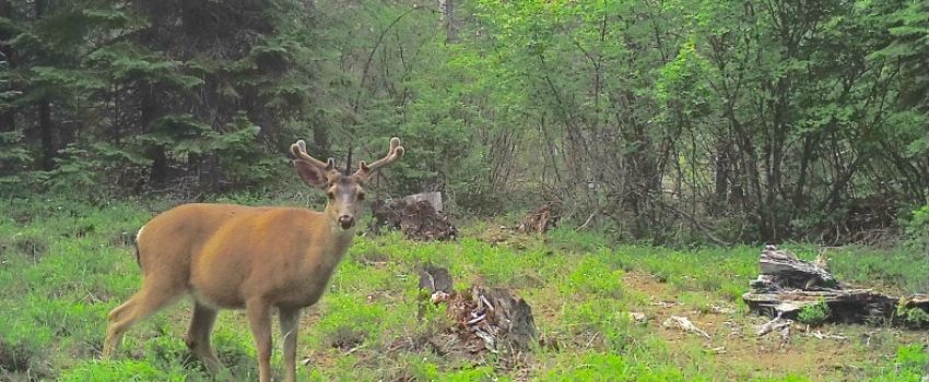 DUIPhoto-Jun-14-5-09-53-PM-790x443