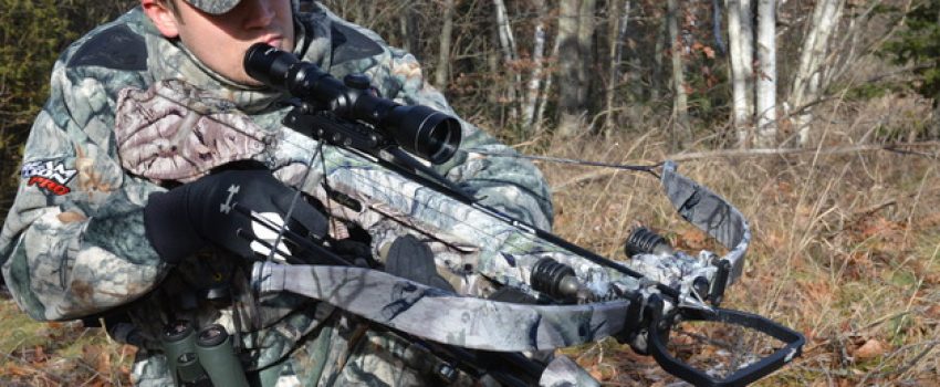 Excaliber6550c0ffdeb839c46d5bf896_628x419