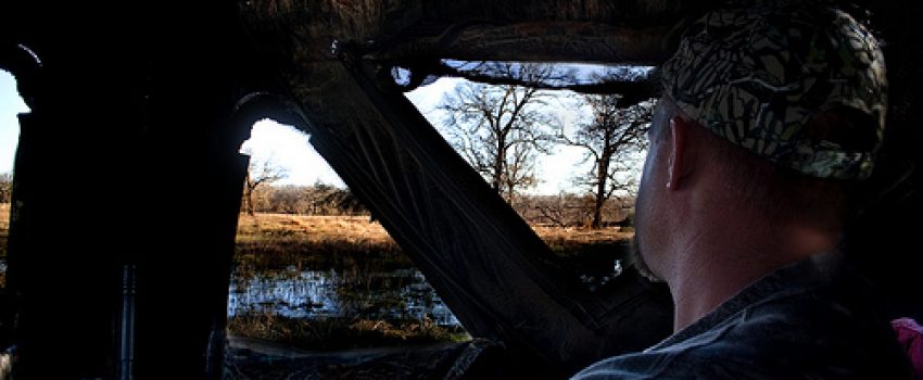 Hog hunting in Trinity Texas.