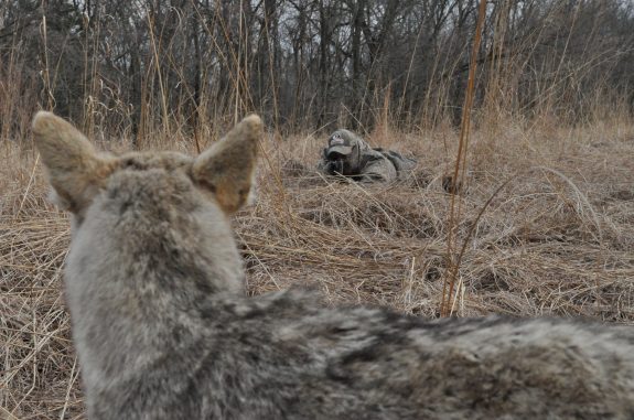 Once you learn the travel habits of predators, they are much easier to hunt.