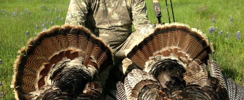 IMG_0057-768x1024[1]