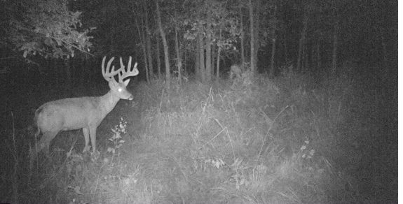 0301:080619:68F:0000:CAMERA1:2-