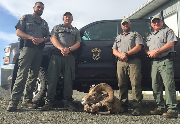 Idaho-bighorn-sheep-poaching-case-closed