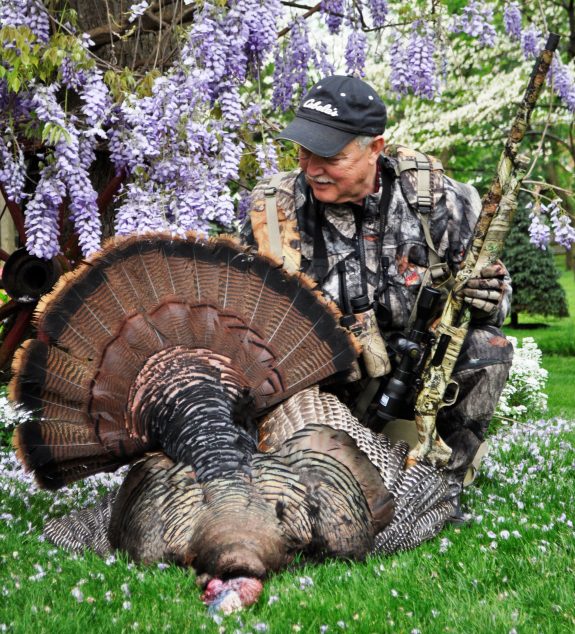 The author answers questions from fans.