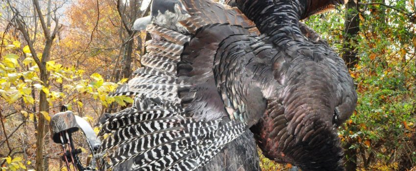 Marvin Alexander 009