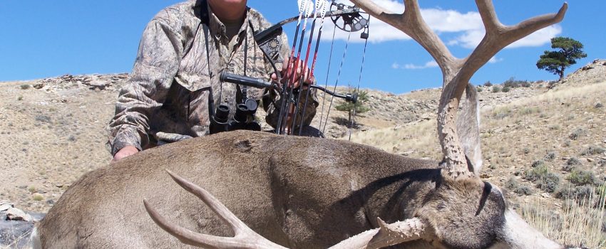 Medacine Bow Mule Deer- Joe Byers 009