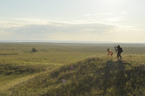 Montana Antelope 174