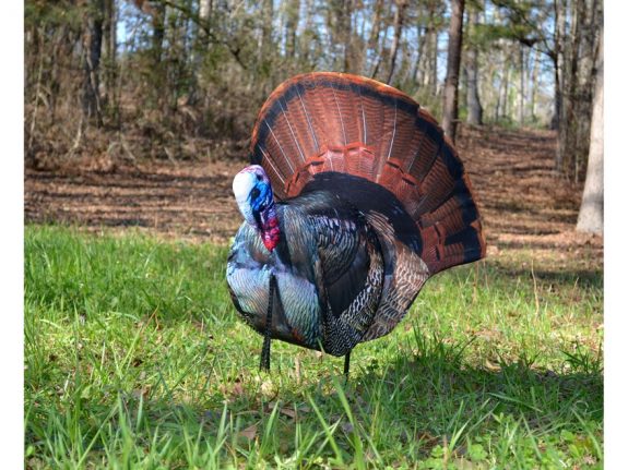 Montana Decoy Papa Strut Photo by Midway USA