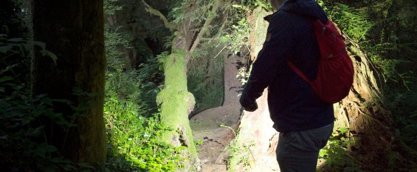 RechargableheadlanpFL75R-in-Forest