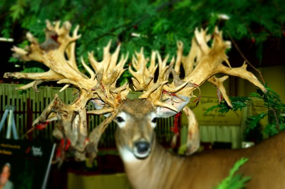 Safari Club International hosts some of the most unique hunts in the world.