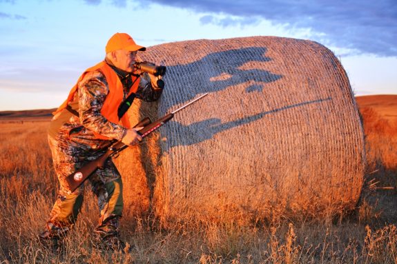 A deer's body language can fortel it's next move.