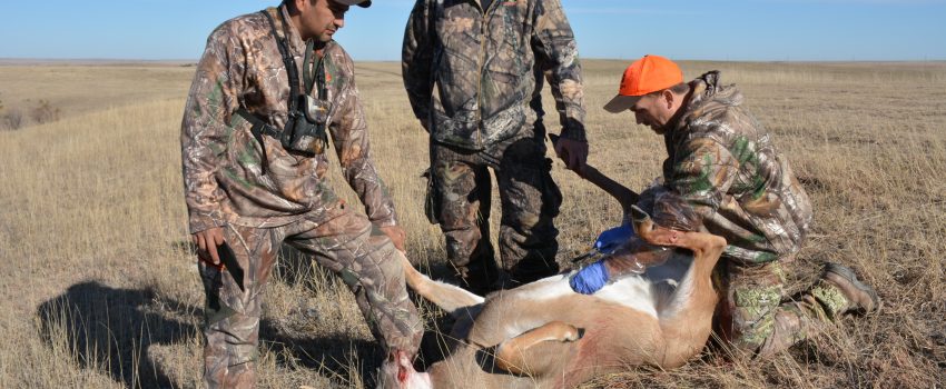 SD Muzz Deer 2015 483