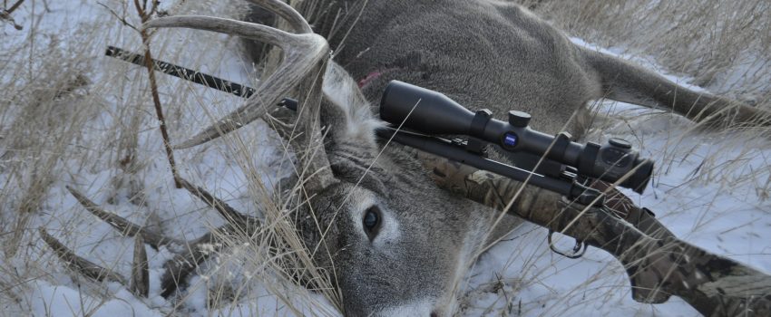 The author dropped this trophy buck with a single shot from a Mossberg rifle chambered in 270 Winchester at 178 yards.