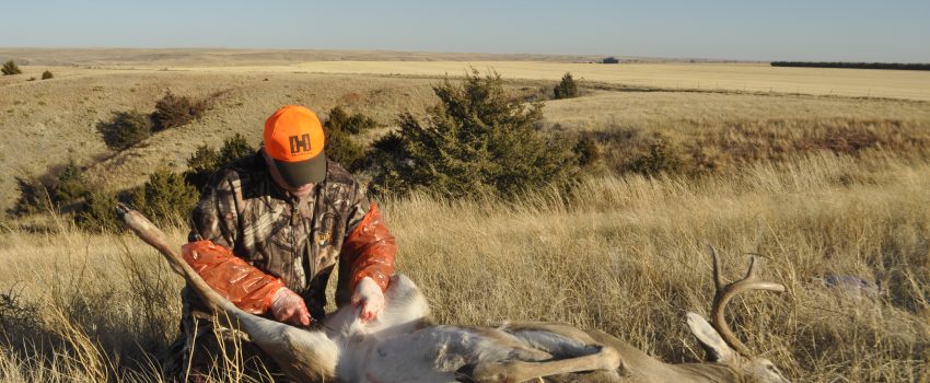 SD Rifle Deer 2012 405