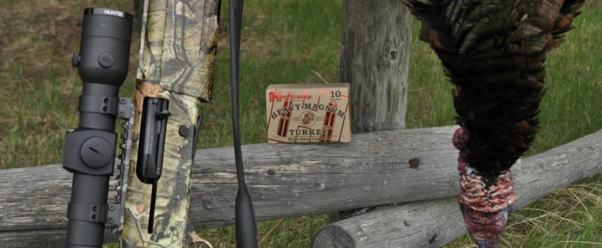 SD Spring Turkey 2012 399 (1024x680)