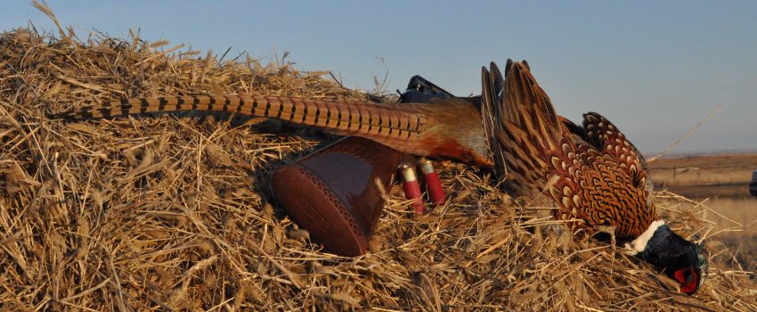 South Dakota Deer 09 217