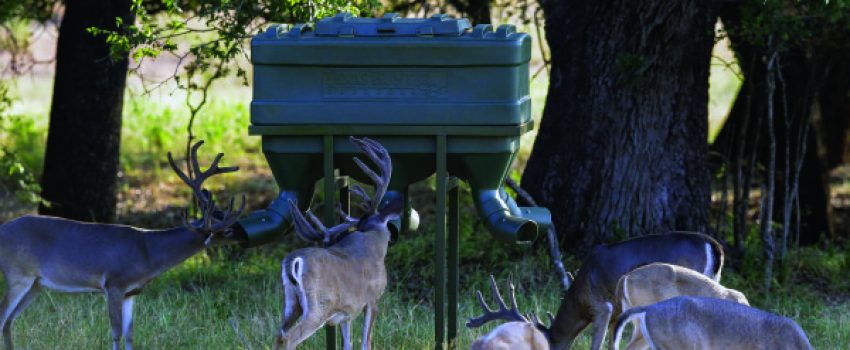 Winter is a challenge for mature bucks that have rutted vigorously.  Protein can help them survive the winter and develop larger antlers in the coming year.