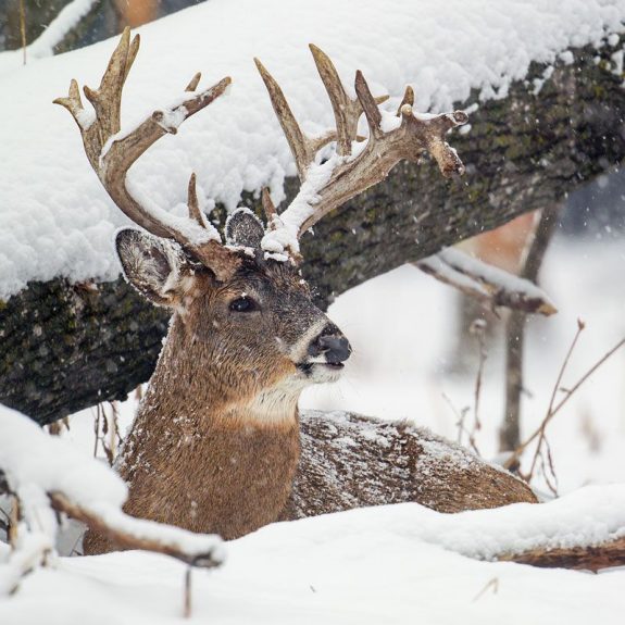 b9d899cfd991465855f83181e82ba831