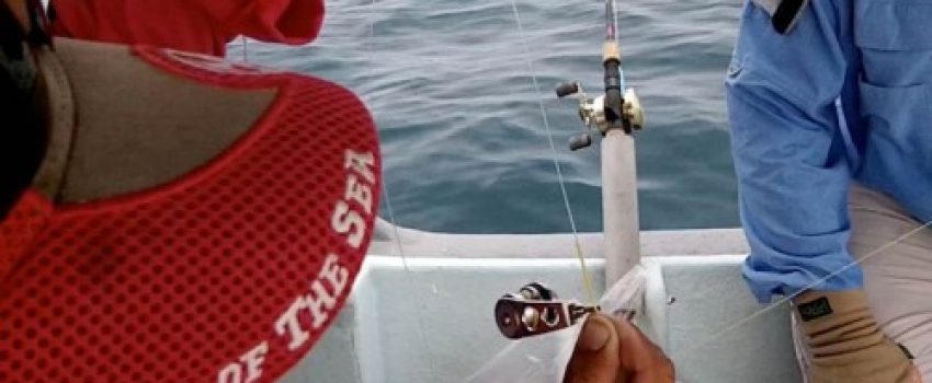how-to-tie-the-FG-knot-quickly-with-bobbin-Photo-by-Sport-Fishing-Asia-e1385092129785