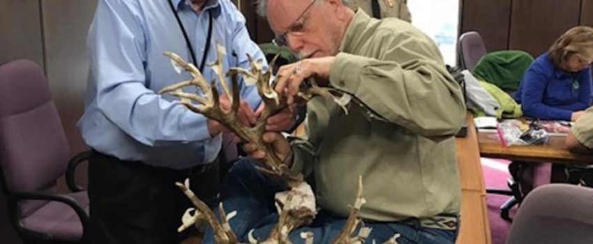 Stephen Tucker's monster whitetail buck will be officially scored to determine its record status.
