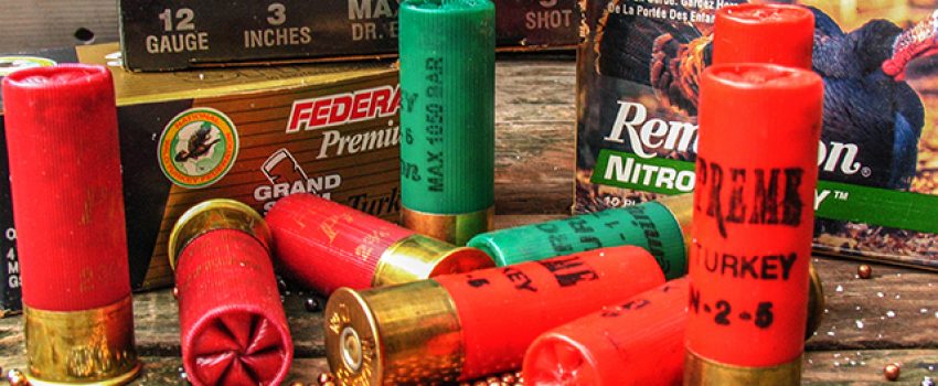 shotshells1526357
