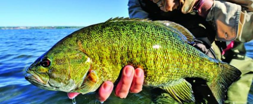 summerfishing1