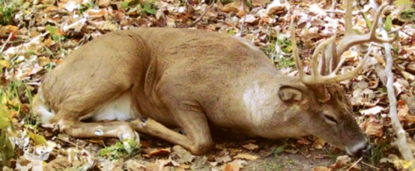 tom_james_3_574_361_s