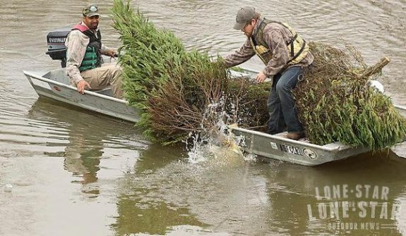 Turn your Christmas tree into a home for fish.