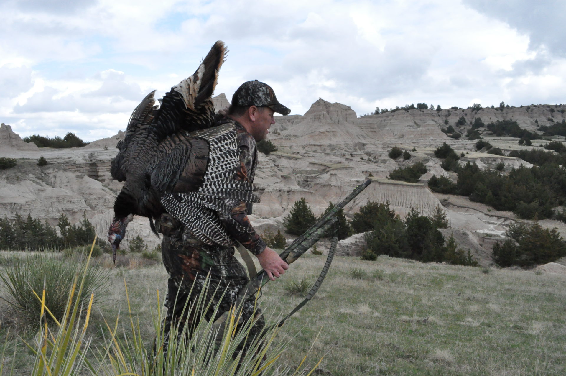 How to Roost Turkeys — The Hunting page