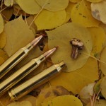 CO Rifle Elk 2011 151