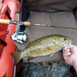 Bass Photo by Kentucky Department of Fish and Wildlife Resources